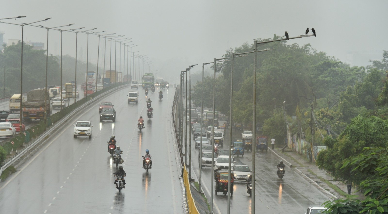 IMD Issues Red Alert for Heavy Rain in Multiple Odisha Districts
