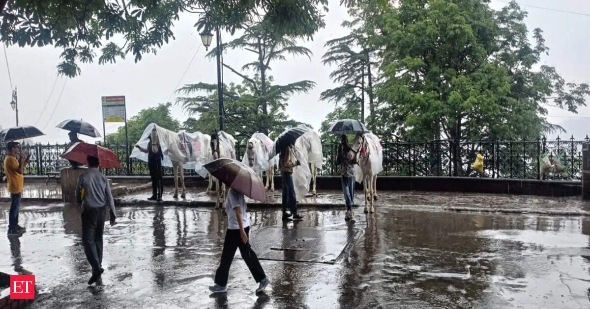 Severe Rainfall in Odisha Claims One Life and Disrupts Daily Activities