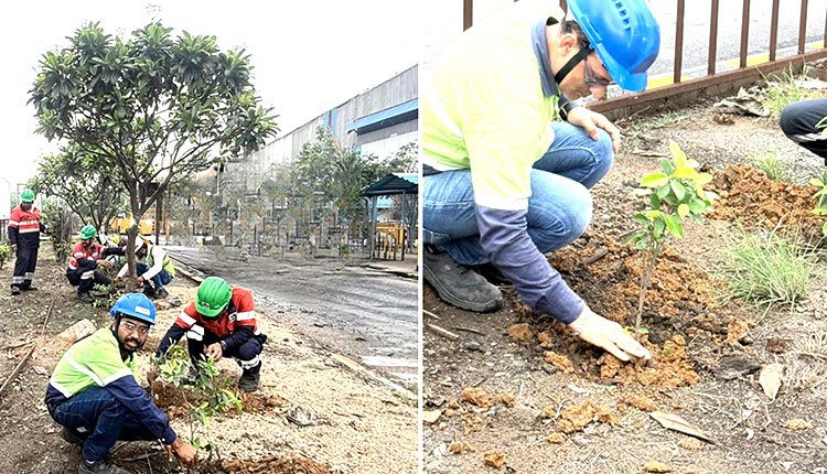 Vedanta Aluminium Celebrates Van Mahotsav with Afforestation Efforts in Odisha