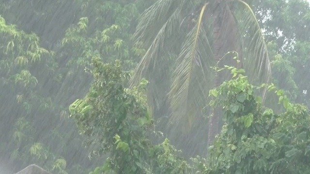 IMD Forecasts Continued Rainfall in Odisha for Five More Days