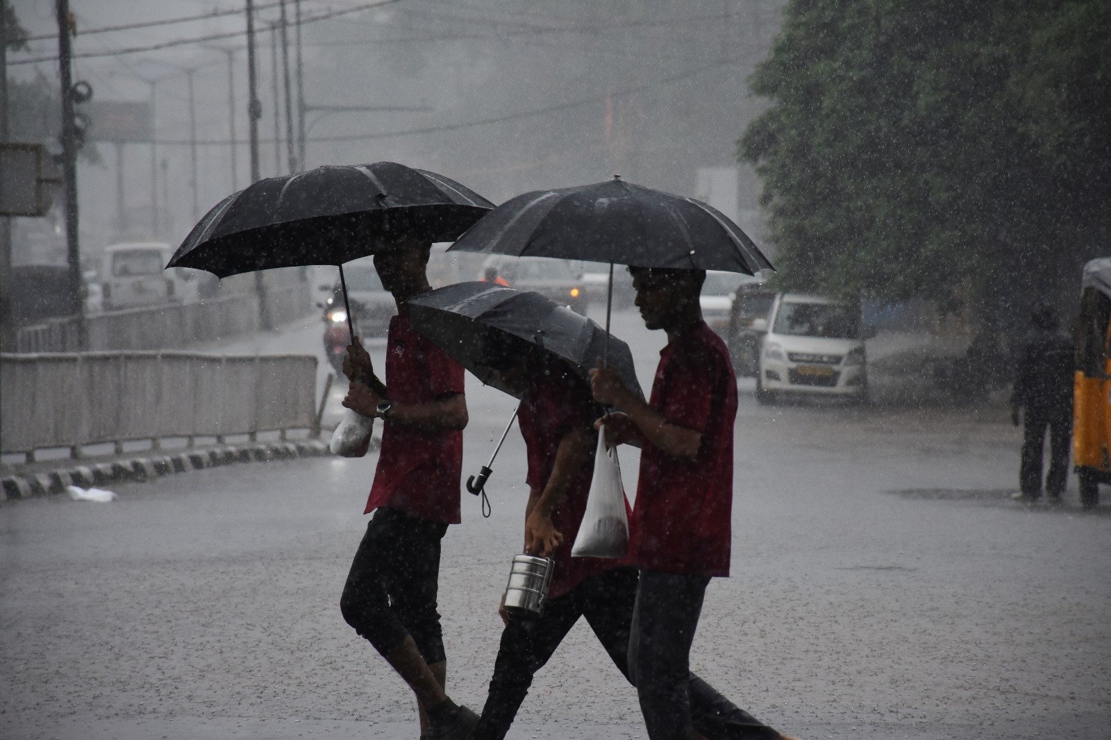 IMD Predicts Heavy Rain and Thunderstorms Across Odisha Districts