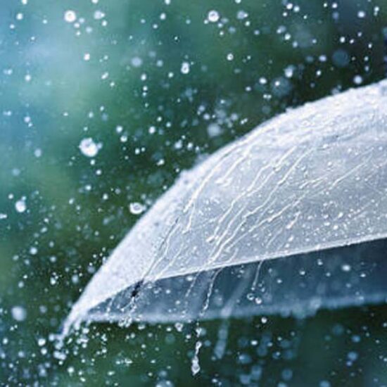 Odisha Faces Severe Rainfall as IMD Issues Red Alert for Multiple Districts