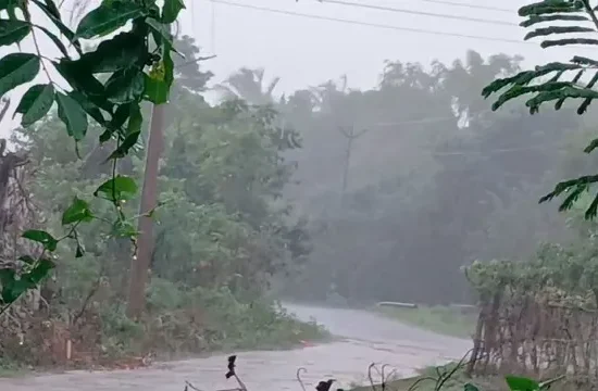 IMD Issues Rain Alert for Odisha with Heavy Downpours Expected