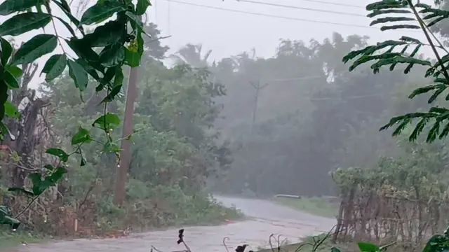 IMD Issues Rain Alert for Odisha with Heavy Downpours Expected