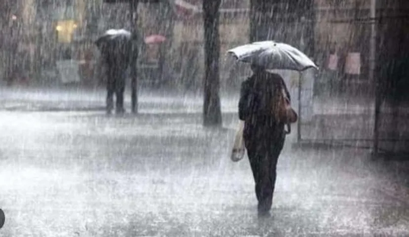 Odisha Faces Continued Heavy Rain and Thunderstorms for Three Days, IMD Warns