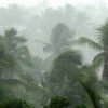 Odisha Braces for Intense Rainfall and Squally Weather; IMD Issues Orange Alert