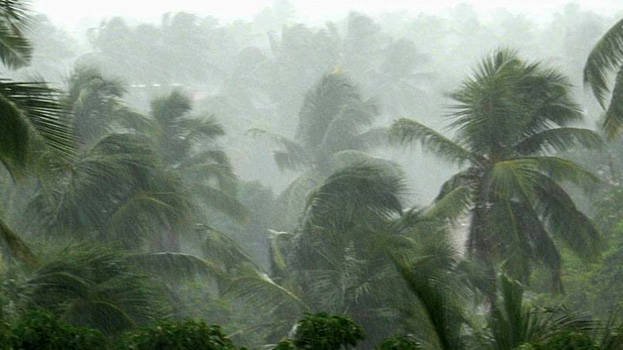 Odisha Braces for Intense Rainfall and Squally Weather; IMD Issues Orange Alert