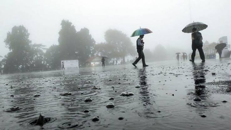 Odisha Weather Update: IMD Issues Warnings for Heavy Rain Until August 2