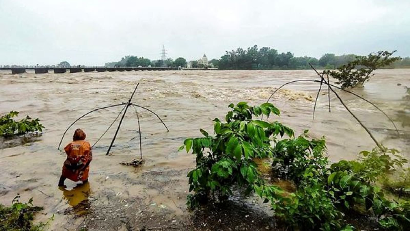 Severe Flooding in Odisha Claims Three Lives and Affects Over 200,000 Residents
