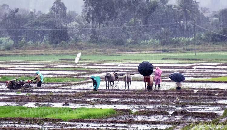 Jharsuguda Sees Record 114.3mm Rainfall in Odisha Over Last Day