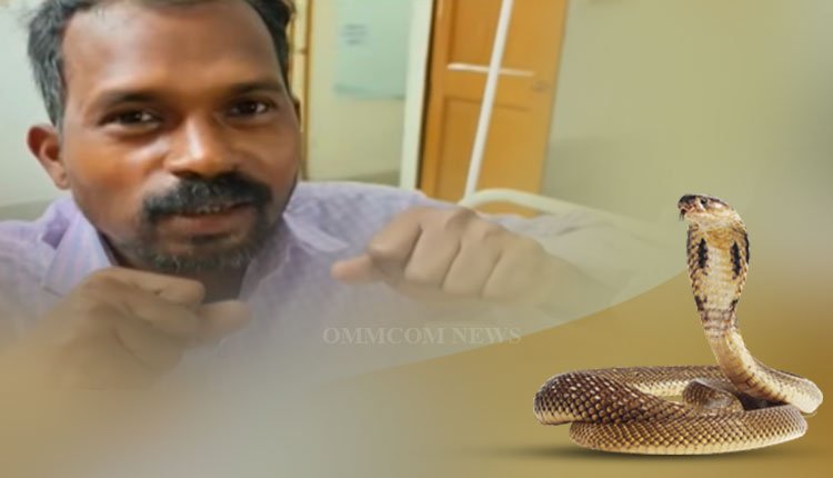Man Bites Cobra After Accidentally Stepping on It in Jharsuguda