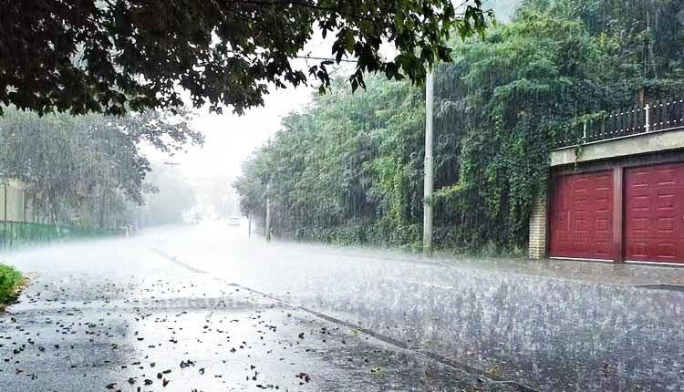 Odisha Districts Brace for Light to Moderate Rain and Thunderstorms