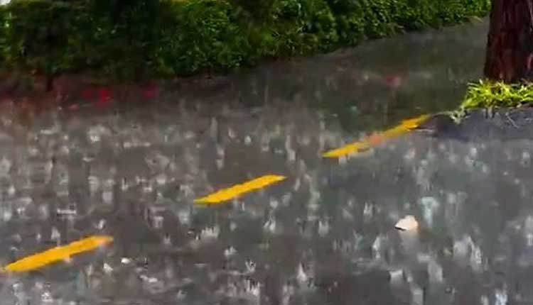 Light Showers Expected in Five Districts of Odisha in Next Three Hours: IMD