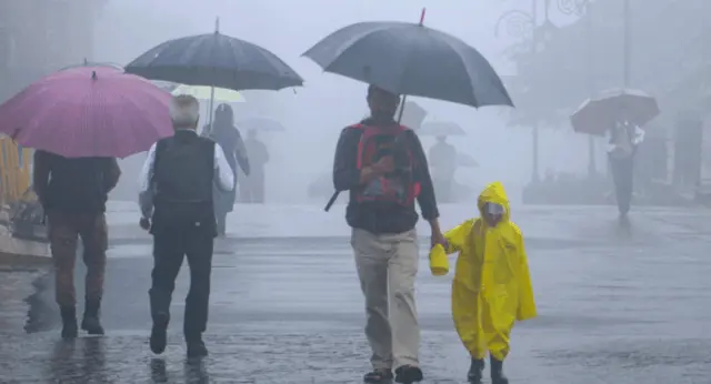 Intense Rain and Thunderstorms Forecasted in Odisha; Three Districts Under Orange Alert