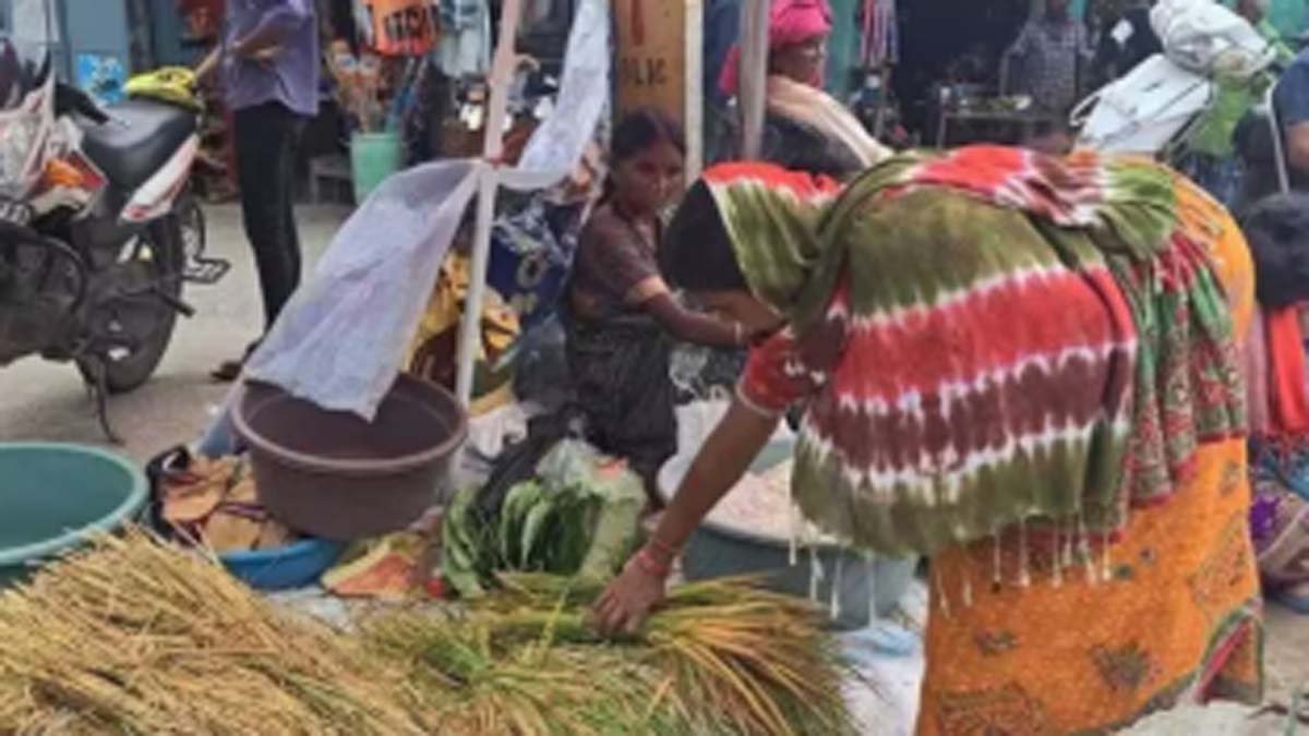 Nuakhai Festival Celebrations in Western Odisha Enhanced by Abundant Rainfall